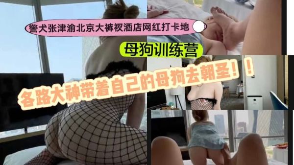 麻花传mt007：警犬张津渝带队朝圣网红训练营